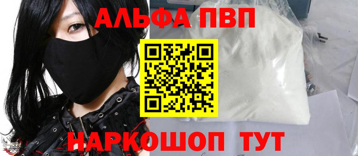 A PVP СК Калининград