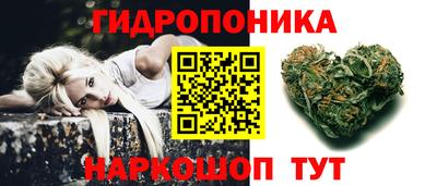 тгк Канаш