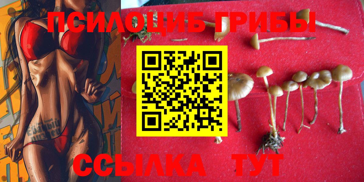 Калининград  Псилоцибиновые грибы Magic Shrooms  Вход с VPN 