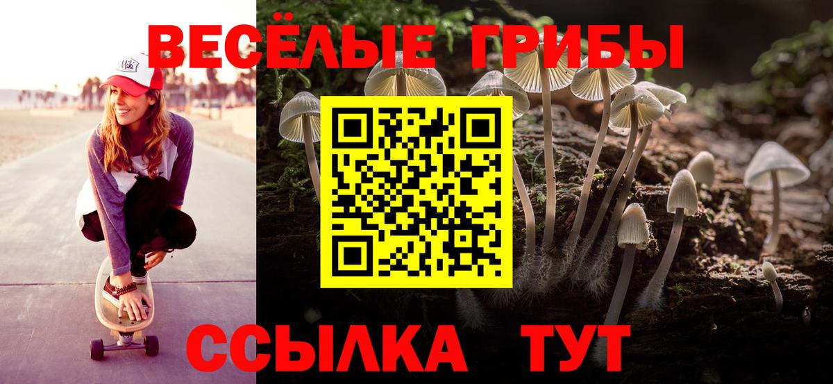 Галлюциногенные грибы ЛСД Калининград